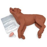 CasPeR the CPR Dog