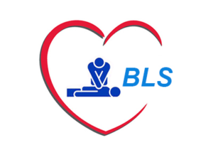 BLS/Heartsaver Instructor Course